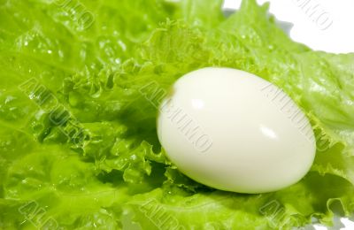 The boiled egg and salad