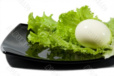 The boiled egg and green salad.