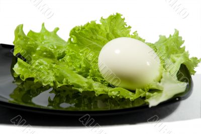 The boiled egg and green salad.