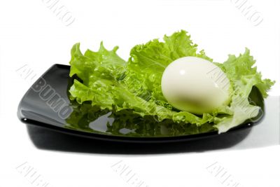 The boiled egg and green salad.