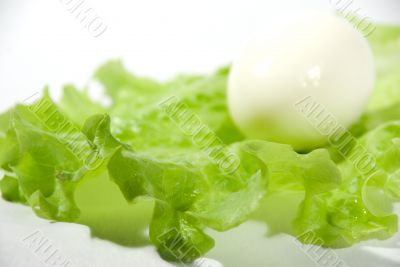 The boiled egg and salad