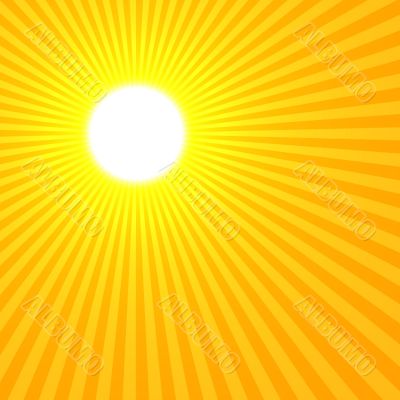 Yellow Sun Yellow Sun