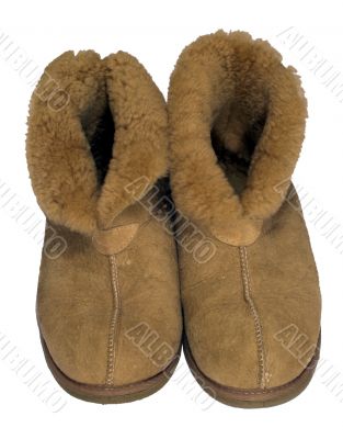 Sheep Skin Shoes