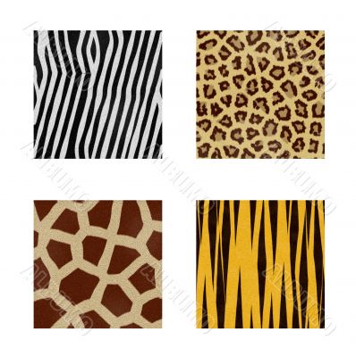 animal skins patterns