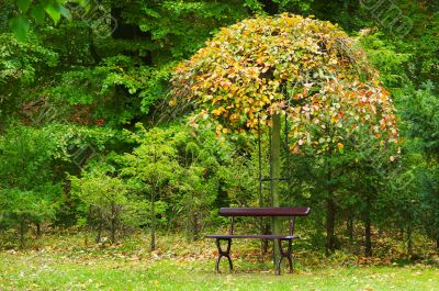 autumn in the park autumn in the park