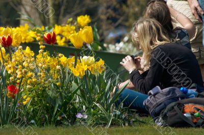 colorful flower garden in spring colorful flower garden in spring