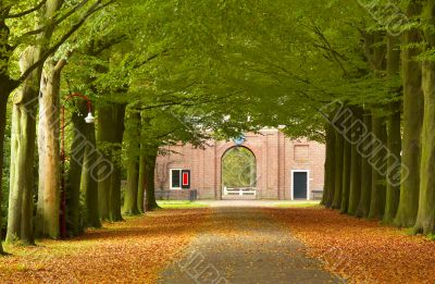 autumn in the park autumn in the park