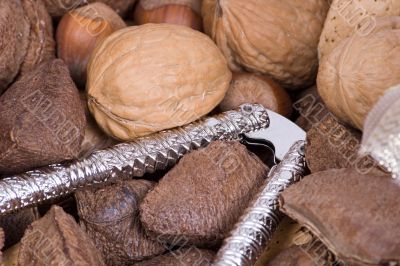 macro nuts macro nuts