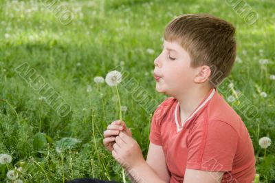 boy with dandelion