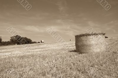 Hay bales
