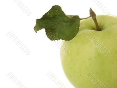 wild apple