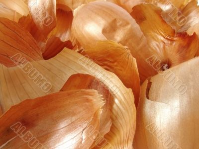onions` peels