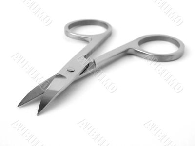 scissors