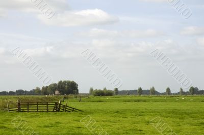 Dutch landscape