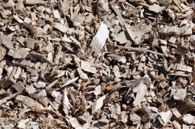 Wood Chip