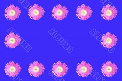 Pink Flowers On Blue Pink Flowers On Blue