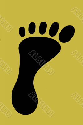 Footprint Footprint