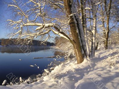 Winter landscape near the river.