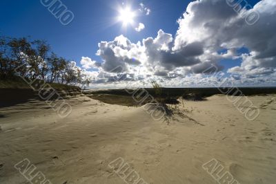 Seaside Baltic  - a dune