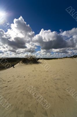 Seaside Baltic  - a dune