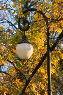 Lantern on a background of autumn