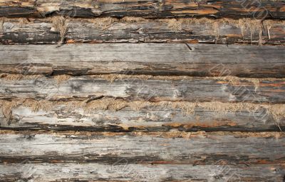 texture of wooden wall made of logs