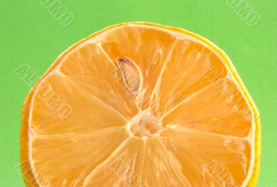 lemon details