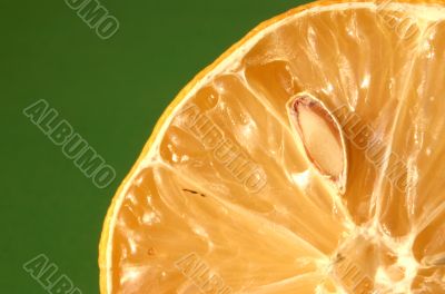 lemon details