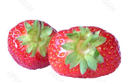 strawberry against white background