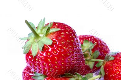 strawberry against white background