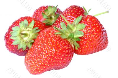 strawberry against white background