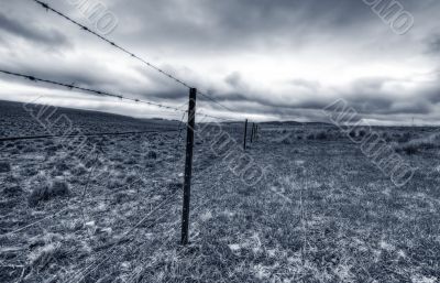  Australian Livestock Fence