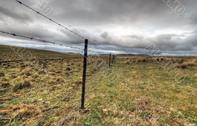  Australian Livestock Fence