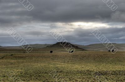  Australian Livestock Fence