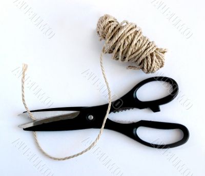 scissors and cord