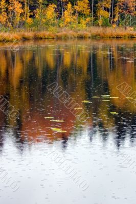 Autumn rain