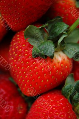 Strawberries