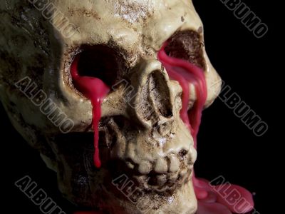 Bleeding Human Skull