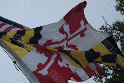 Maryland Flag