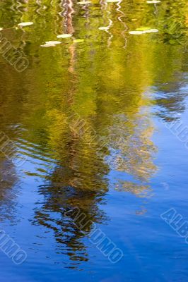 Reflection in a sunny day