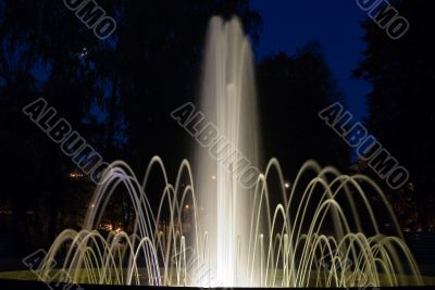Fountain in night