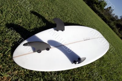 White Surfboard