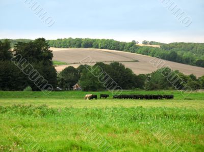 English countryside