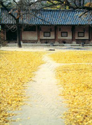 Korean Culture Korean Culture