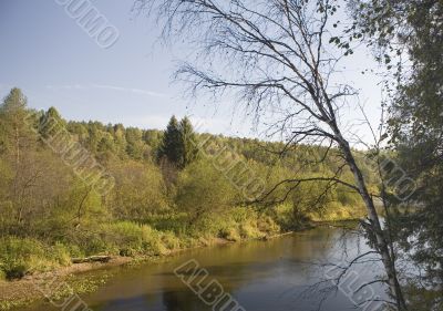 National reserve  Deer Streams The river Serga 1