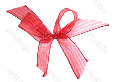 red ribbon - isolated