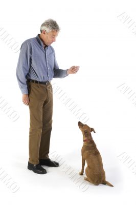 training the dog