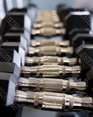Dumbbells at a gym Dumbbells at a gym