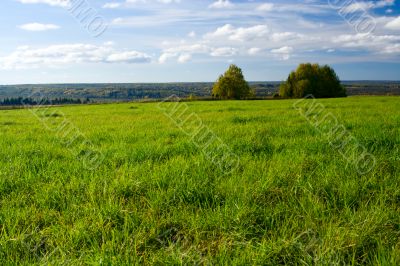 Beautiful summer landscape. The nature.