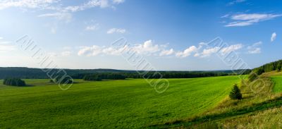 Beautiful summer landscape. The nature. Panorama